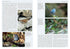 Vagrancy in Birds - Alexander Lees, James Gilroy 2021